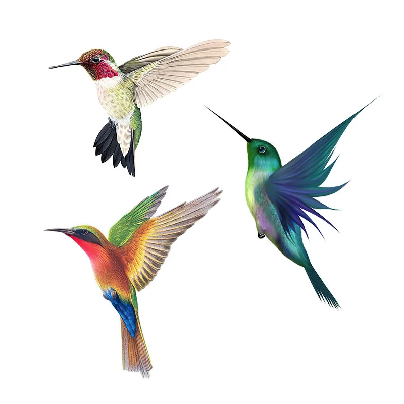 Outdoor Furniture Diy Plans - Beautiful Hummingbird Hand Painted Bird Sticker