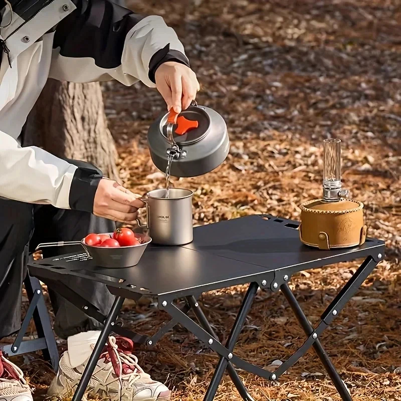 Portable Foldable Camping Tabl - Outdoor Furniture Iron 리뷰 및 가격
